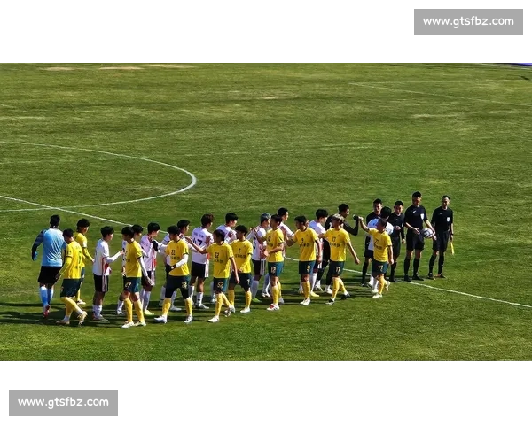 从红牌事件看规则权威对比赛秩序与公平的深远影响足球竞技环境